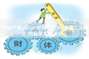 沪硅产业(688126):沪硅产业2023年第二次临时股东大会决议