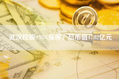 武汉控股9.95%涨停，总市值47.82亿元