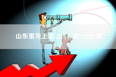 山东墨龙上涨5.33%，报4.94元/股