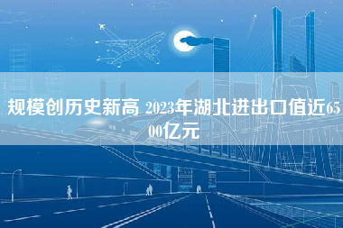 规模创历史新高 2023年湖北进出口值近6500亿元