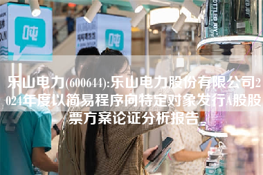 乐山电力(600644):乐山电力股份有限公司2024年度以简易程序向特定对象发行A股股票方案论证分析报告