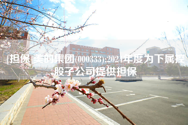 [担保]美的集团(000333):2024年度为下属控股子公司提供担保