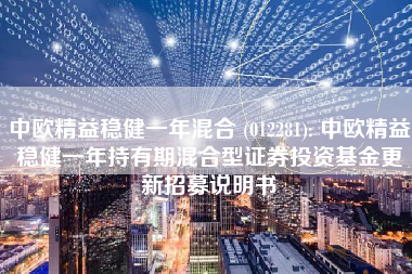 中欧精益稳健一年混合 (012281): 中欧精益稳健一年持有期混合型证券投资基金更新招募说明书