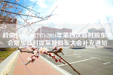 岭南股份(002717):2024年第四次临时股东大会增加临时提案暨股东大会补充通知