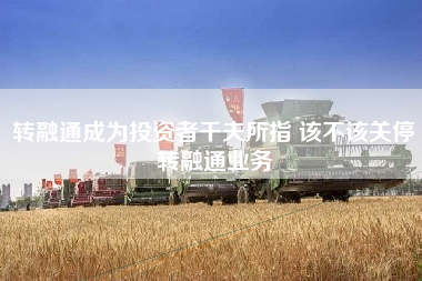 转融通成为投资者千夫所指 该不该关停转融通业务